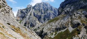 Picos de Europa